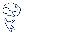 Institut Robert-Debré du Cerveau de l’Enfant